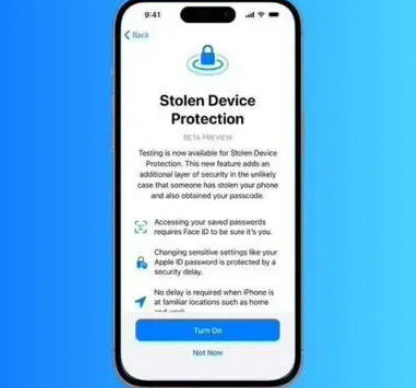 湖南苹果授权维修店分享被盗设备保护功能开启方法 