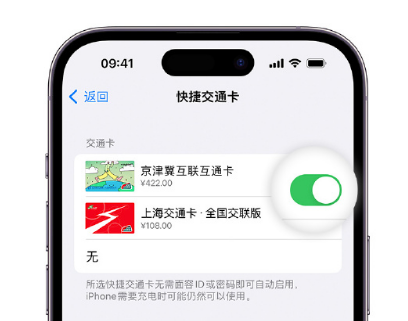 湖南apple维修点分享iPhone上更换Apple Pay快捷交通卡手绘卡面 