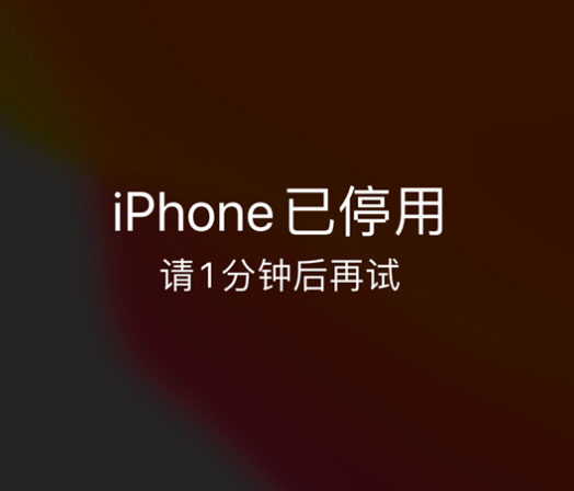 湖南苹果手机维修分享:iPhone 显示“不可用”或“已停用”怎么办？还能保留数据吗？ 