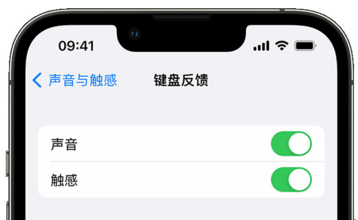 湖南苹果手机维修分享iPhone 14触感键盘使用方法 