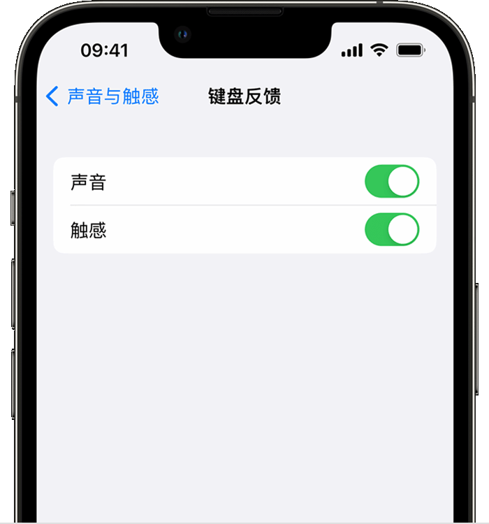 湖南苹果14维修店分享如何在 iPhone 14 机型中使用触感键盘 