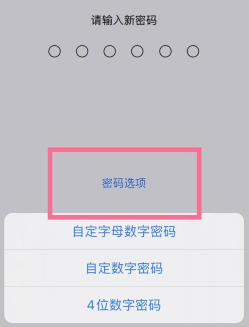 湖南苹果14维修分享iPhone 14plus设置密码的方法 