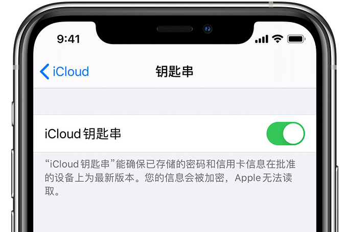 湖南苹果手机维修分享在 iPhone 上开启 iCloud 钥匙串之后会储存哪些信息 