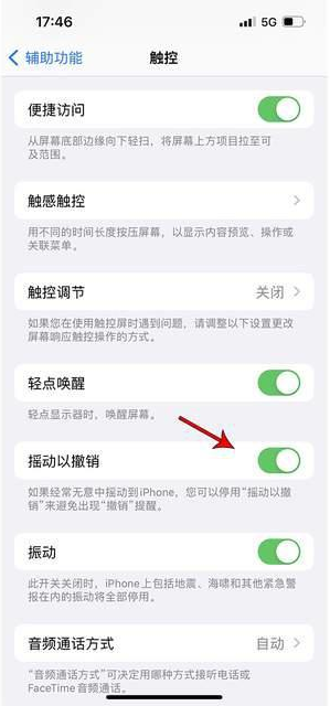 湖南苹果手机维修分享iPhone手机如何设置摇一摇删除文字 