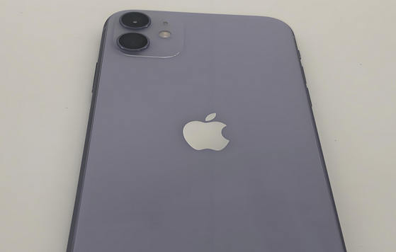 湖南苹果11系统维修分享iPhone11手机系统崩溃无法开机如何解决
